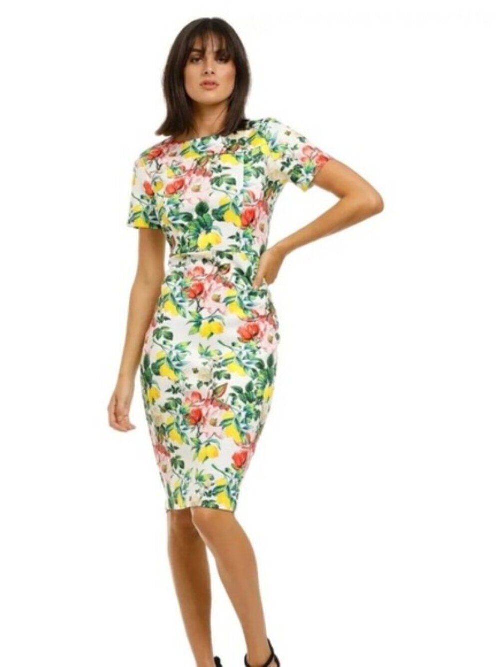 Alexia Admor Floral Lemon Butterfly Print Scuba Sheath Dress Size XL